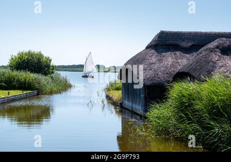 Strohgedeckte Bootshäuser schmiegen sich an die hohen Grashalme auf Hickling Broad, östlich von Norwich, in Norfolk UK. Segelboot in der Ferne. Stockfoto