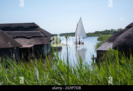 Strohgedeckte Bootshäuser schmiegen sich an die hohen Grashalme auf Hickling Broad, östlich von Norwich, in Norfolk UK. Segelboot in der Ferne. Stockfoto