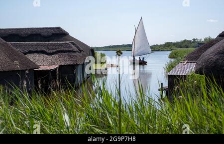 Strohgedeckte Bootshäuser schmiegen sich an die hohen Grashalme auf Hickling Broad, östlich von Norwich, in Norfolk UK. Segelboot in der Ferne. Stockfoto