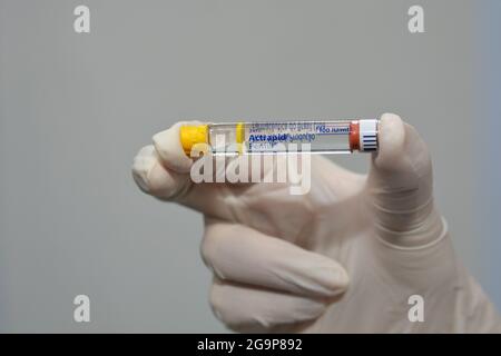 Actrapid humane Insulin rDNA Penfill 100 IU-Lösung zur subkutanen oder intravenösen Injektion in Kartusche, die bei Diabetikern bei IDDM-Patienten verwendet wird Stockfoto