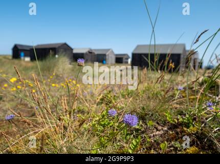 Schwarz lackierte Fischerhütten aus Holz in den Sanddünen von Winterton on Sea in der Nähe von Great Yarmouth an der Ostküste von Norfolk UK. Stockfoto