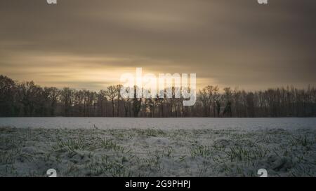 Lange Exposition von sich bewegenden Wolken über dem Feld im Winter mit Schnee am Morgen bei Sonnenaufgang, Münsterland, Deutschland Stockfoto