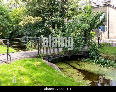 CAMBRIDGE ENGLAND BRÜCKE ÜBER DEN BACH ENTLANG DER TRUMPINGTON ROAD TEIL VON HOBSON'S CONDUIT Stockfoto