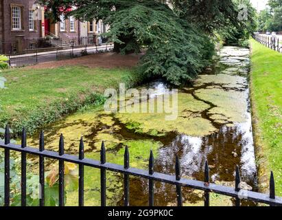 CAMBRIDGE ENGLAND FLIESST ENTLANG DER TRUMPINGTON ROAD, TEIL DES HOBSON'S CONDUIT Stockfoto