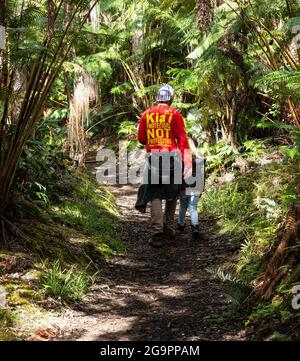 Vater und Sohn wandern auf einem Regenwald-Pfad im Volcanoes National Park auf der Big Island von Hawaii. Stockfoto