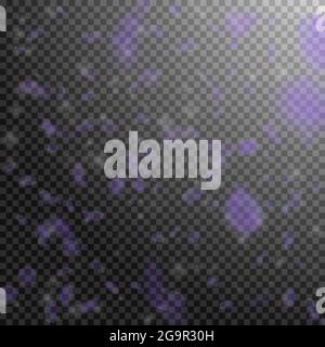 Violette Blütenblätter fallen herunter. Erstaunliche romantische Blumen fallen regen. Fliegendes Blütenblatt auf transparentem quadratischem Hintergrund. Liebe, Romantik Konzept. Be Stock Vektor