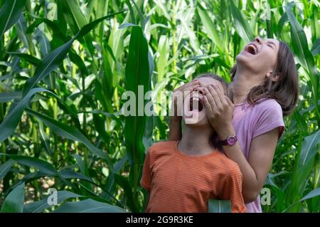 Lachende junge und Mädchen, die Spaß im grünen Kornfeld haben Stockfoto