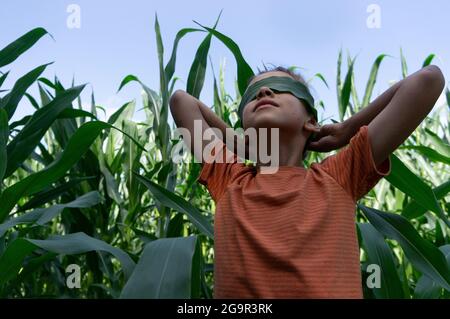 Der Junge hält ein Maisblatt und schließt seine Augen auf einem grünen Feld Stockfoto