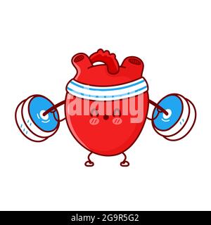 Nette lustige Herz-Orgel machen Fitnessstudio mit Langhantel. Vektor flache Linie Cartoon kawaii Figur Illustration Symbol. Isoliert auf weißem Hintergrund. Herz-Organ-Workout, Sport, Fitness Charakter Konzept Stock Vektor