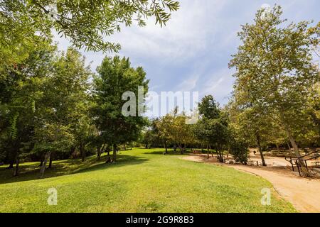 Bäume, Wiese im Vista Hermosa Natural Park in Los Angeles, Kalifornien Stockfoto