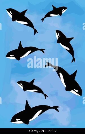 Cartoon Orca, Killer, Walmuster, blauer Hintergrund. Stockfoto