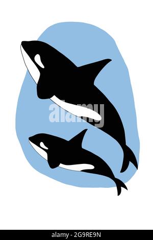 Cartoon Mama, Orca Killer, Wal und Baby Wal Illustration Zeichnung. Stockfoto