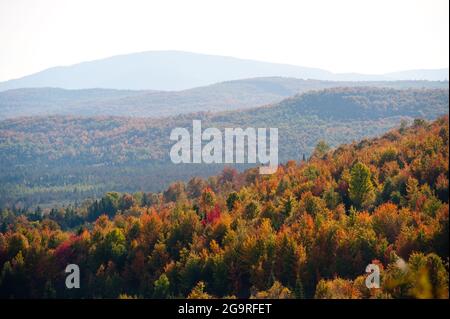 Blick auf das Herbstlaub von der Route 145, Clarksville, New Hampshire, USA Stockfoto