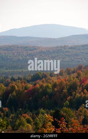 Blick auf das Herbstlaub von der Route 145, Clarksville, New Hampshire, USA Stockfoto