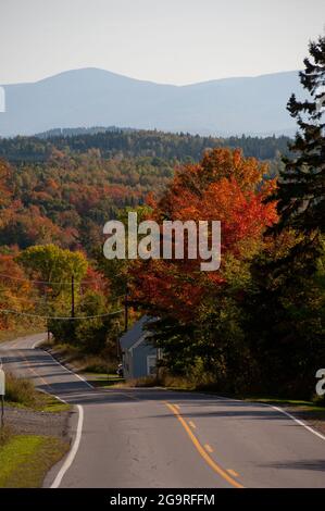 Blick auf das Herbstlaub von der Route 145, Clarksville, New Hampshire, USA Stockfoto