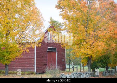 Fall Foliage, Candia, New Hampshire, USA Stockfoto