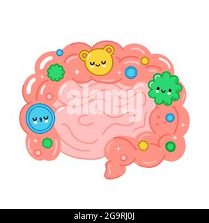 Gesundes Darmorgan mit guten Bakterien, Mikroflora. Vektor handgezeichnete Cartoon-Illustration. Isoliert auf weißem Hintergrund. Darm, Mikroflora, Probiotika Charakter Konzept Stock Vektor