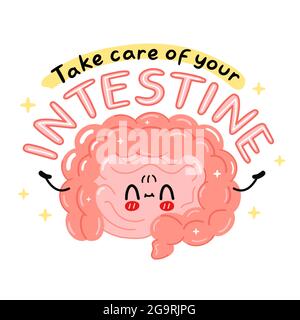 Nette lustige Darm Organ Charakter. Achten Sie auf Ihren Darm Zitat Slogan. Vektor Cartoon kawaii Figur Illustration Symbol. Isoliert auf weißem Hintergrund. Menschliches Organ, Cartoon Charakter Konzept Stock Vektor