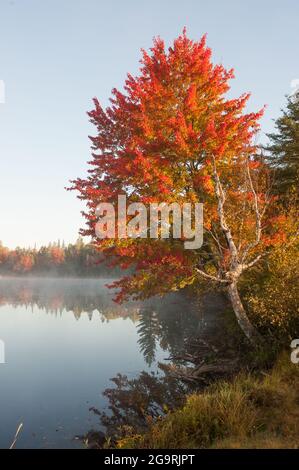 Androscoggin River, Mailand, New Hampshire, USA Stockfoto