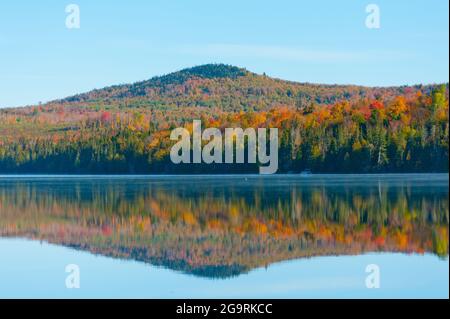 Fall Laub, Millsfield Pond, Millsfield, New Hampshire, USA Stockfoto