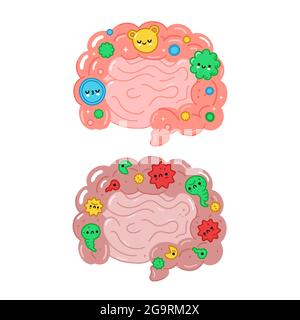 Gesundes und ungesundes Darmorgan mit guten Bakterien, Mikroflora. Vektor handgezeichnete Cartoon-Illustration. Isoliert auf weißem Hintergrund. Darm, gut, schlecht Mikroflora, Probiotika Charakter Konzept Stock Vektor