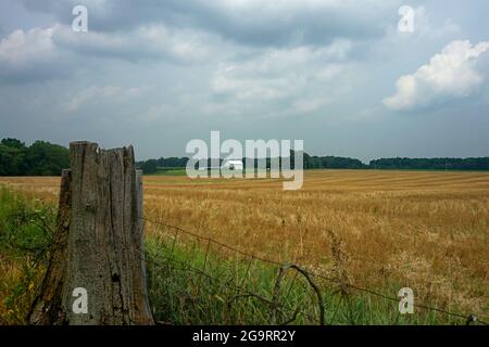 Landwirtschaftliche Szene eines Feldes mit weißen Bauernhäusern im Hintergrund und einem Drahtzaun und Baumstumpf im Vordergrund Stockfoto