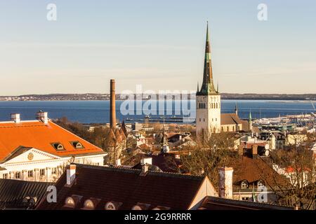 Tallinn, Estland. Luftaufnahme bei Sonnenuntergang der Altstadt mit der Kirche St. Olaf und den Türmen. Ein Weltkulturerbe Stockfoto