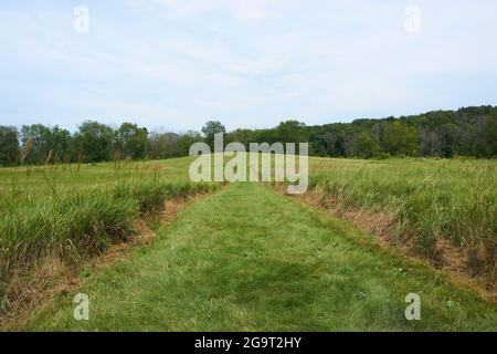 Aztalan State Park, Lake Mills Wisconsin. Stockfoto