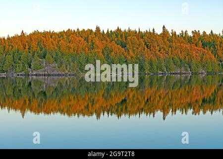 Alpenglow und Abendreflexionen am Jenny Lake in den Boundary Waters in Minnesota Stockfoto