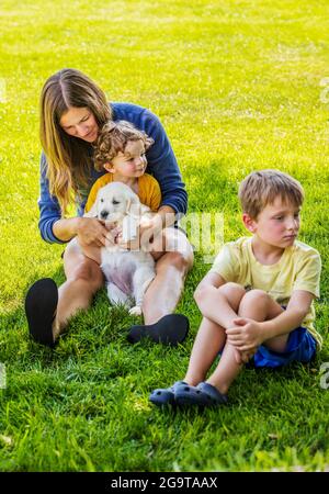 Mutter und kleine Kinder spielen auf Gras mit sechs Wochen alten Platinum oder Cream Colored Golden Retriever Welpen. Stockfoto