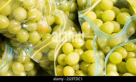 Auf dem Farmer's Market werden große, grünhäutige Tafeltrauben in Plastiktüten, im Hintergrund dicke und fest anzuberührende, gesund aussehende Früchte in Tüten Stockfoto