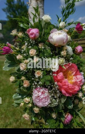 Nahaufnahme von üppigen Blumenarrangements mit Pfingstrosen, Rosen und Freesias, die Bäume im Freien für die Hochzeitszeremonie schmücken Stockfoto