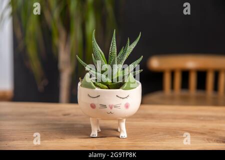 Kaktus in einem mit einer Katze gemusterten Topf auf einem Tisch Stockfoto