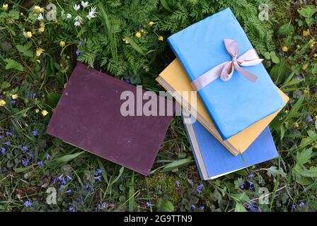 Dekoriert alte Bücher mit bunten Abdeckungen liegen auf grünem Rasen draußen. Vintage romantisches und pädagogisches Konzept Stockfoto