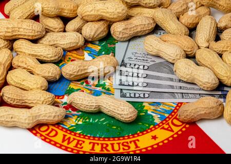 Erdnüsse in Schale auf Flagge Floridas mit Bargeld. Konzept der Erdnussanbau, Handel, Zölle und Marktpreise Stockfoto