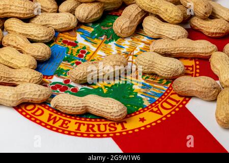 Erdnüsse in Schale auf Flagge Floridas. Konzept der Erdnussanbau, Handel, Zölle und Marktpreise Stockfoto