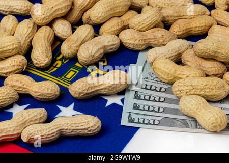 Erdnüsse in Schale auf Flagge Georgiens mit Bargeld. Konzept der Erdnussanbau, Handel, Zölle und Marktpreise Stockfoto