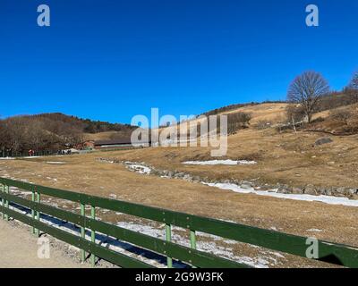 Daegwallyeong Yangtte Farm, Gangwon-do in Südkorea. Füttern Sie die Schafe, die auf der Farm im Überfluss Stockfoto