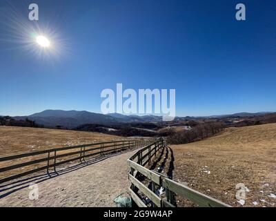 Daegwallyeong Yangtte Farm, Gangwon-do in Südkorea. Füttern Sie die Schafe, die auf der Farm im Überfluss Stockfoto