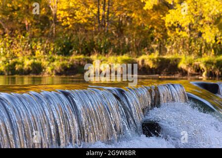 Old Mill Damm am Humber River im Herbst, Toronto, Ontario, Kanada Stockfoto