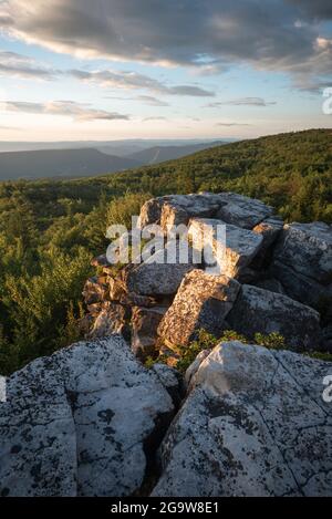 Die Sandsteinfelsen von Bear Rocks erhalten glühende im morgendlichen Sommerlicht entlang der Appalachian Front of Dolly Sods in West Virginia. Stockfoto