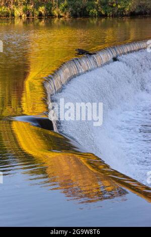 Old Mill Damm am Humber River im Herbst, Toronto, Ontario, Kanada Stockfoto