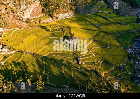 Schöne Reisterrasse in der Provinz Quang Ngai in Zentralvietnam Stockfoto