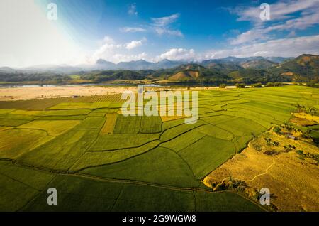 Schöne Reisterrasse in der Provinz Quang Ngai in Zentralvietnam Stockfoto