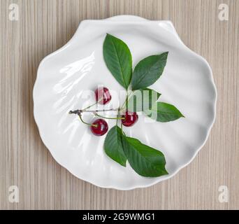 Drei saftige Kirschen auf einem Ast auf weißem Teller, Draufsicht Stockfoto