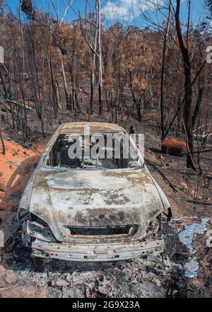 2019/ 20 NSW Buschfeuer Blue Mountains NSW Australien Stockfoto