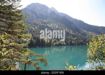 Im Vordergrund die Schlösser Neuschwannstein und Hohenschwangau Stockfoto