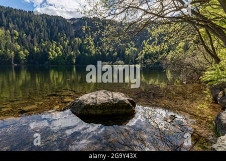 Faszinierender Blick auf den Feldsee im Frühjahr Stockfoto