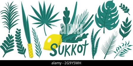 Happy Sukkot Pflanzen Handzeichnung Set. Sammlung mit Etrog, Lulav, Arava, Hadas. Isoliert auf weißem Hintergrund. Vektorgrafik Stock Vektor