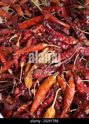 Chilis zum Verkauf auf einem Markt in Himachal Pradesh, indien Stockfoto